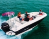 Bayliner Deck Boat Element E5 Bild 2