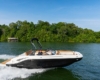 Bayliner DX2050 Bild 1