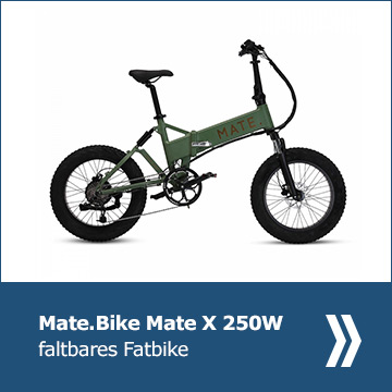 Mate-X 250W kaufen by Luxury-Gadets