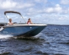 Bayliner Element m15 Boote Pfister